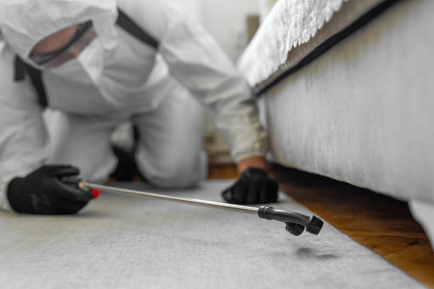Professional Termite Control technician working in Cornell, WI
