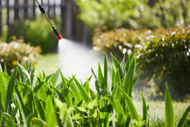 24/7 Emergency Termite Control experts in Cornell, WI